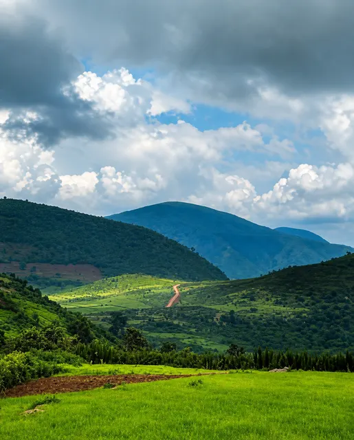 A winding road through the green hills near Dallapalli
