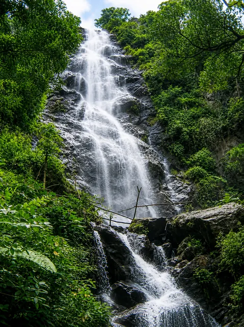 A tall forest waterfall at Katika